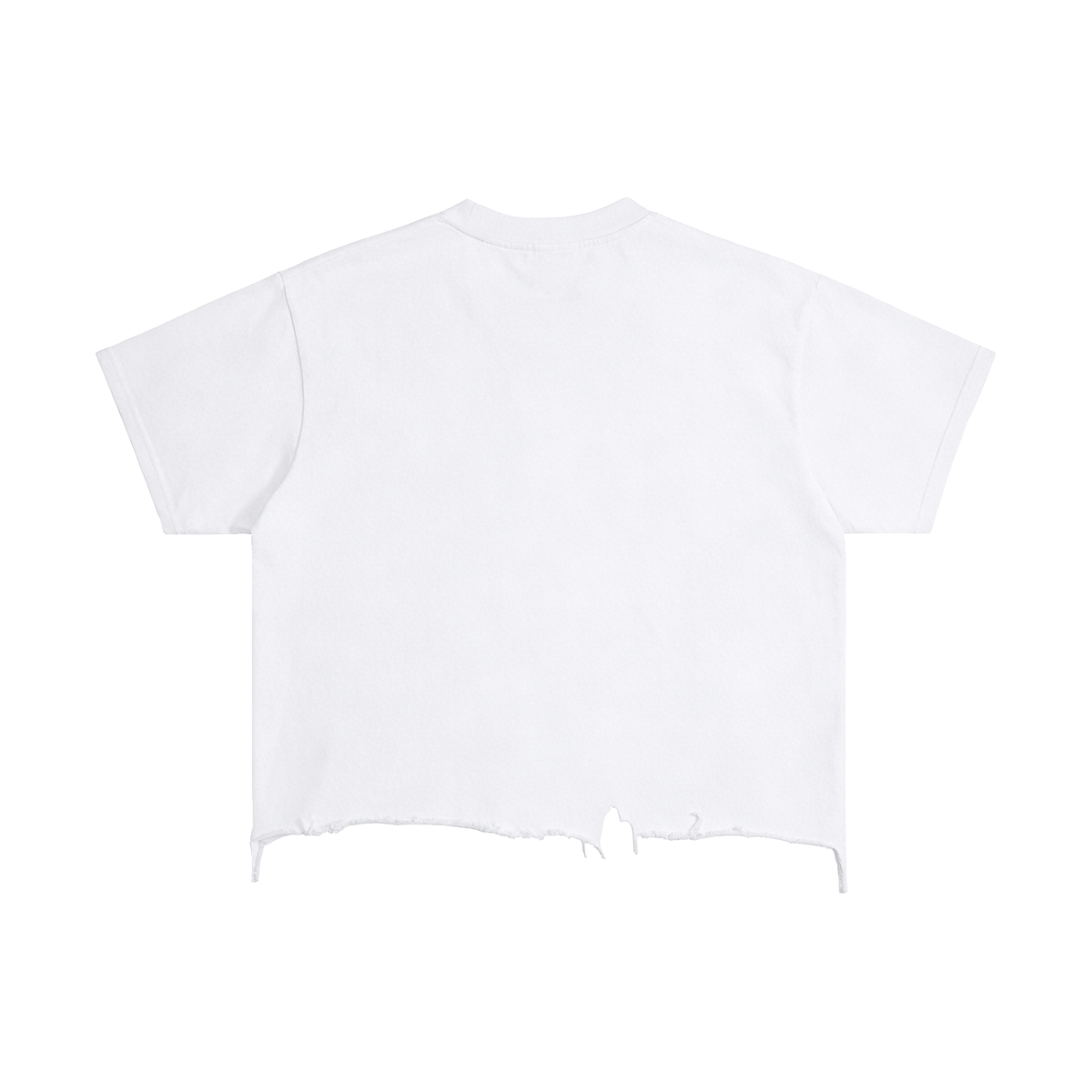 BLANK Slate Boxy Distressed Hem
